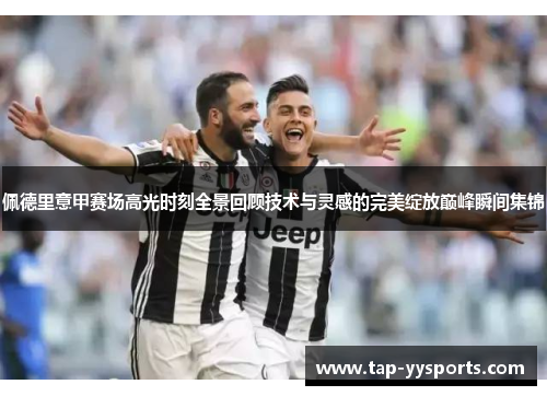 佩德里意甲赛场高光时刻全景回顾技术与灵感的完美绽放巅峰瞬间集锦